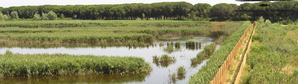 Canali e valli della laguna